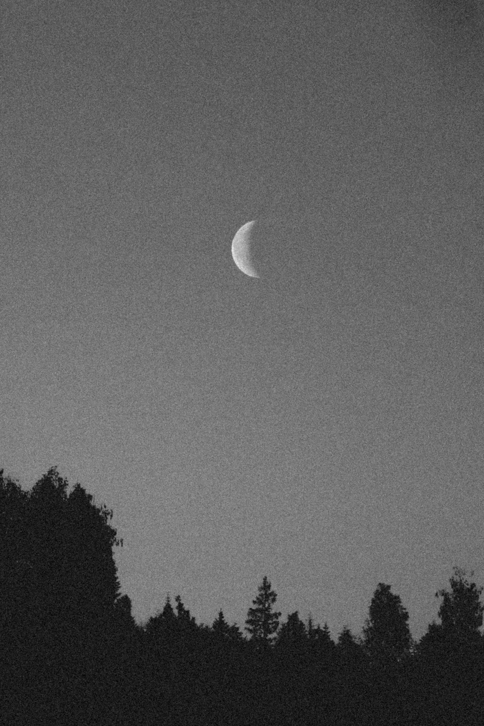 A crescent moon in a monochrome sky with tree silhouettes creates a serene, dramatic scene.