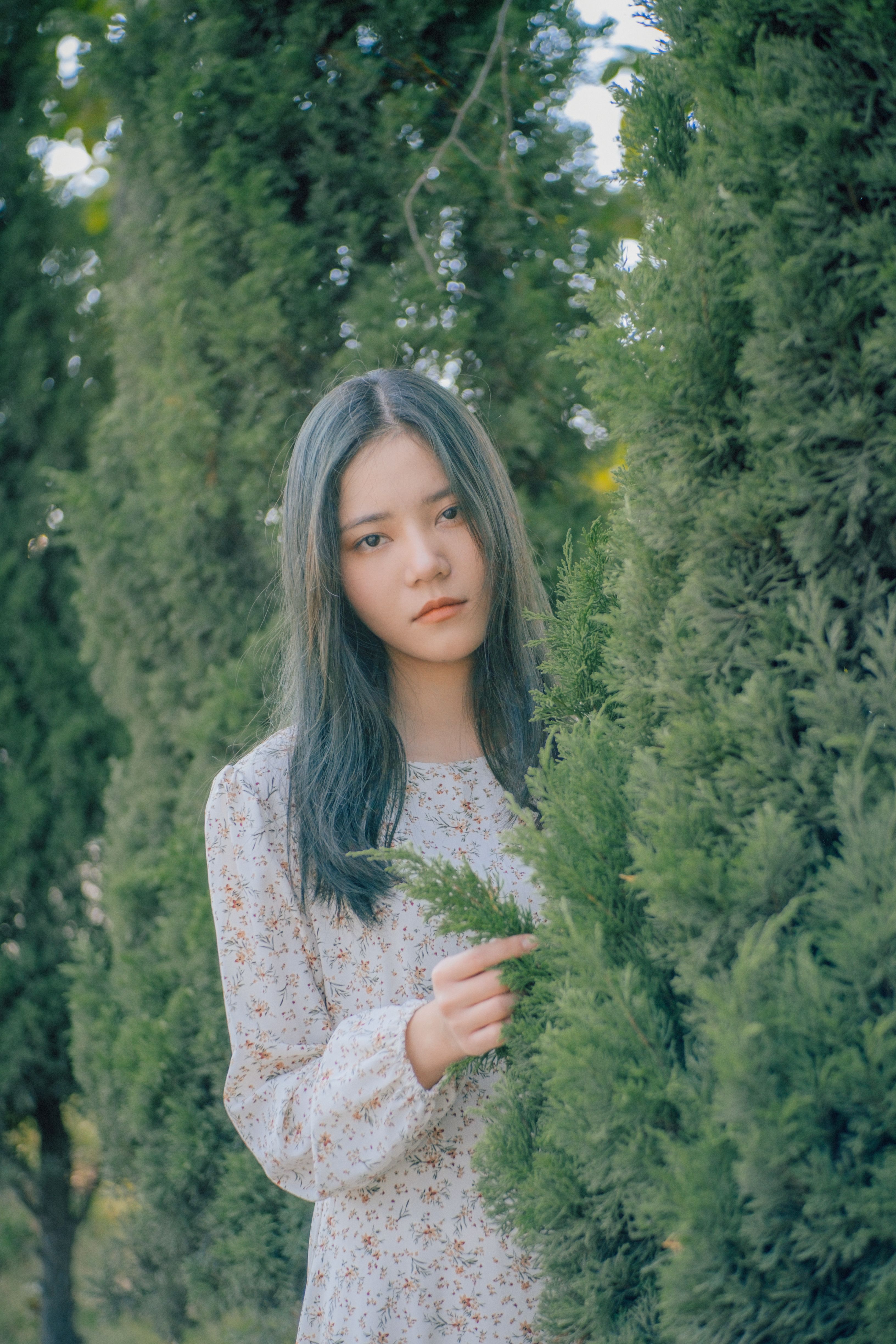 Portrait of a woman standing calmly among tall evergreen trees outdoors.