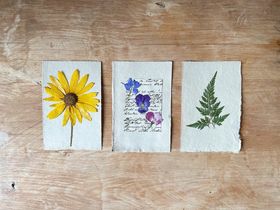 Three pressed-flower botanical cards on a wooden table — photo by Merve Bayar on Pexels
