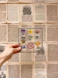 Herbarium specimen sheet, photo on Pexels
