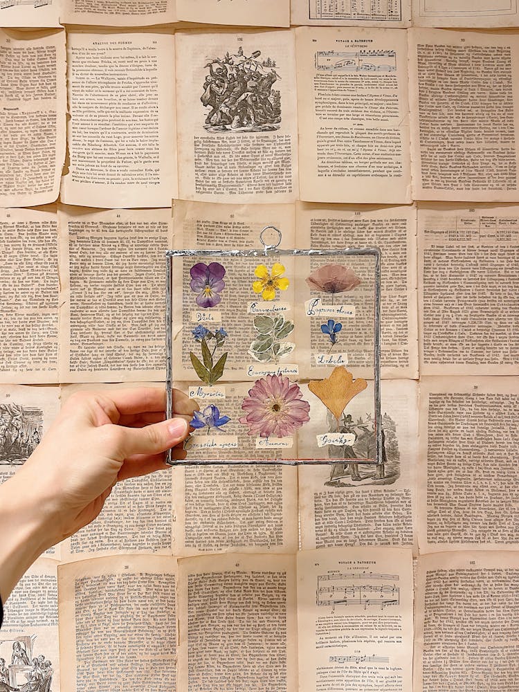 Person Holding A Framed Dried Flowers