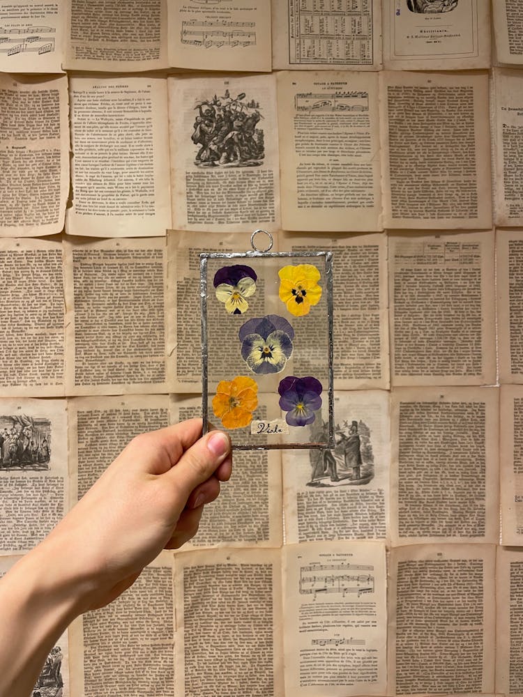 Person Holding A Framed Dried Flowers