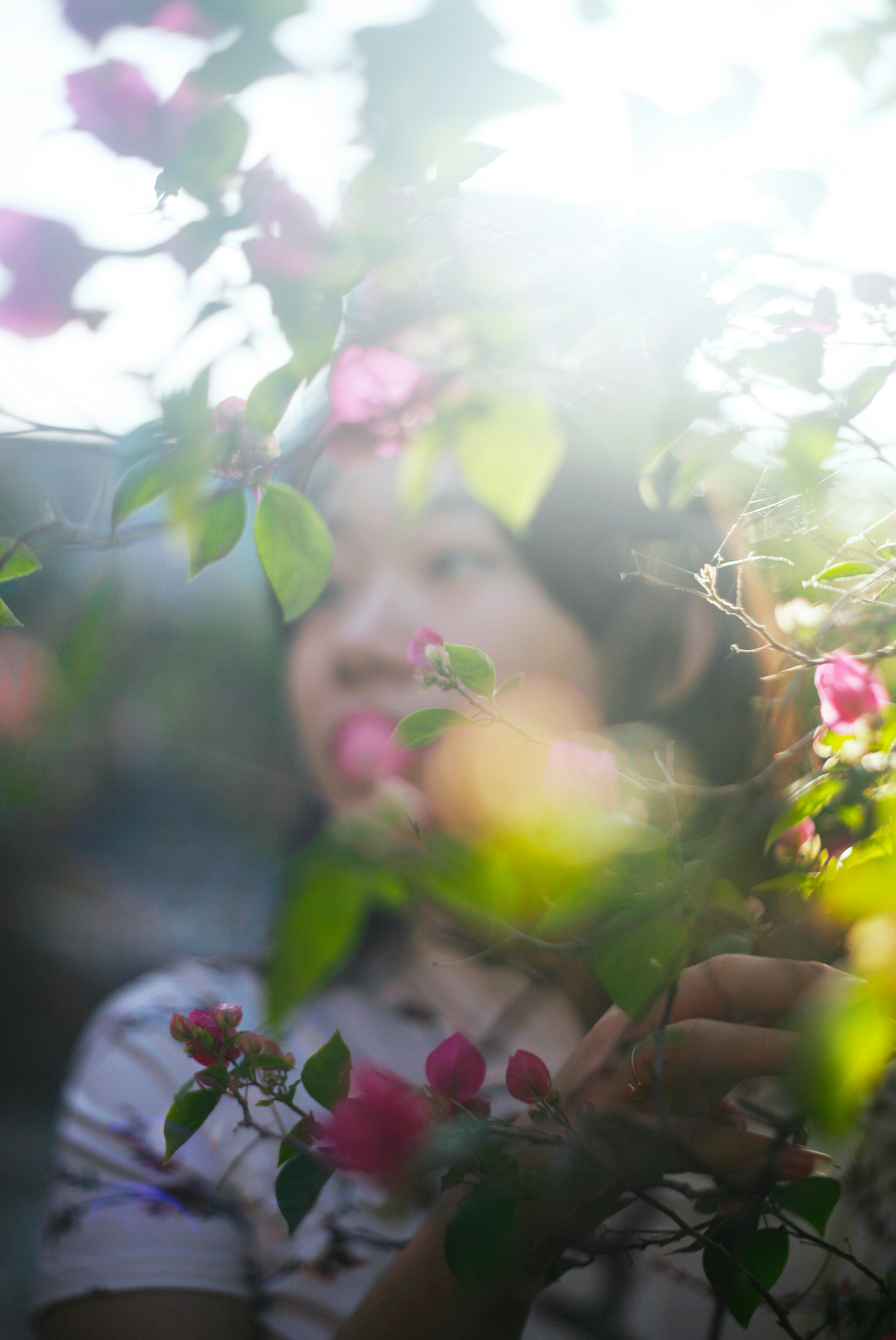 Soft focus portrait of a woman surrounded by pink flowers in sunlight.