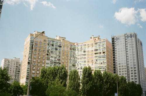 Free High Rise Buildings Surrounded by Green Trees  Stock Photo