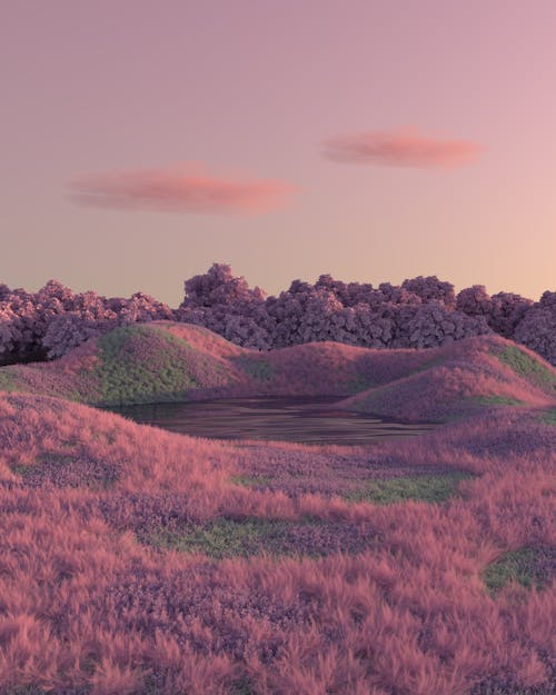 Bezpłatne Krajobraz Wzgórz I Lasu O Zachodzie Słońca Zdjęcie z galerii