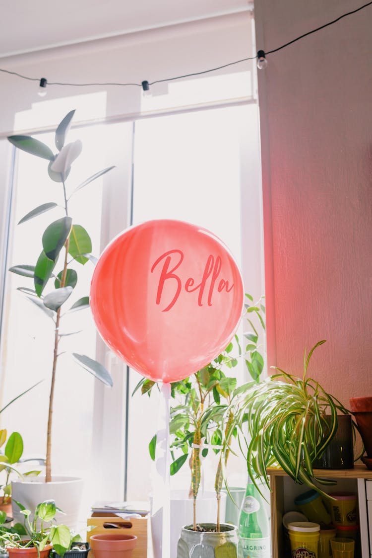 Pink Balloon Near Indoor Plants 