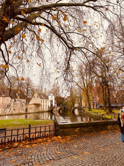 Free Charming canal scene with cobblestone streets and bare trees during fall in Bruges. Stock Photo