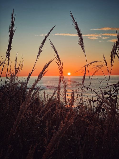 Free Peaceful sunset view with tall grass foreground at Durrës, Albania. Stock Photo