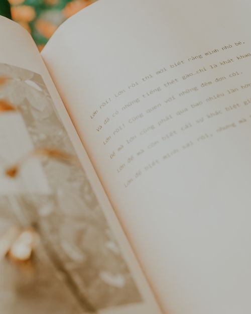 Free Close-up of an open book with blurred text, capturing an intimate literary moment. Stock Photo