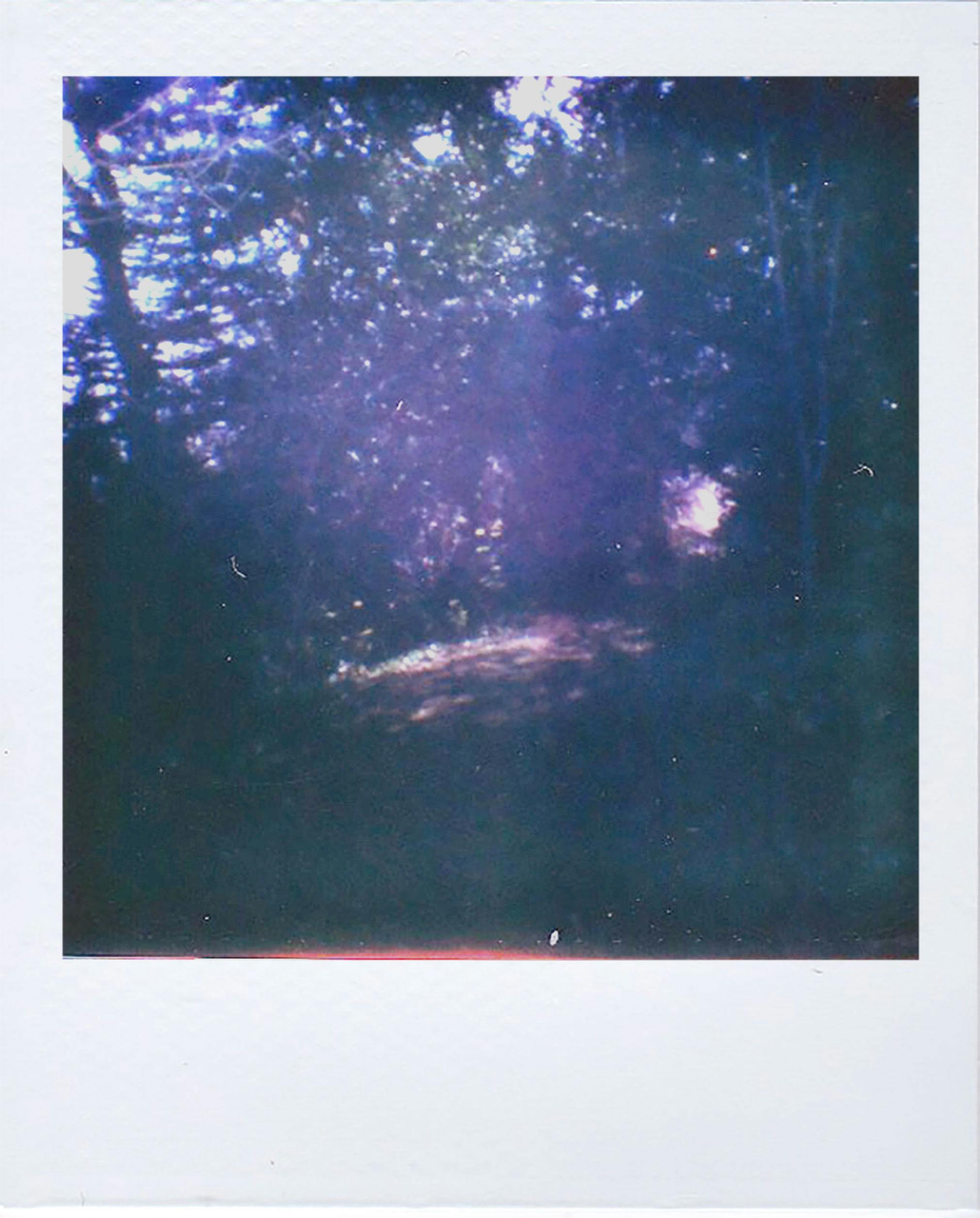A dreamy, blurred motion capture of a forest path through Polaroid photography.