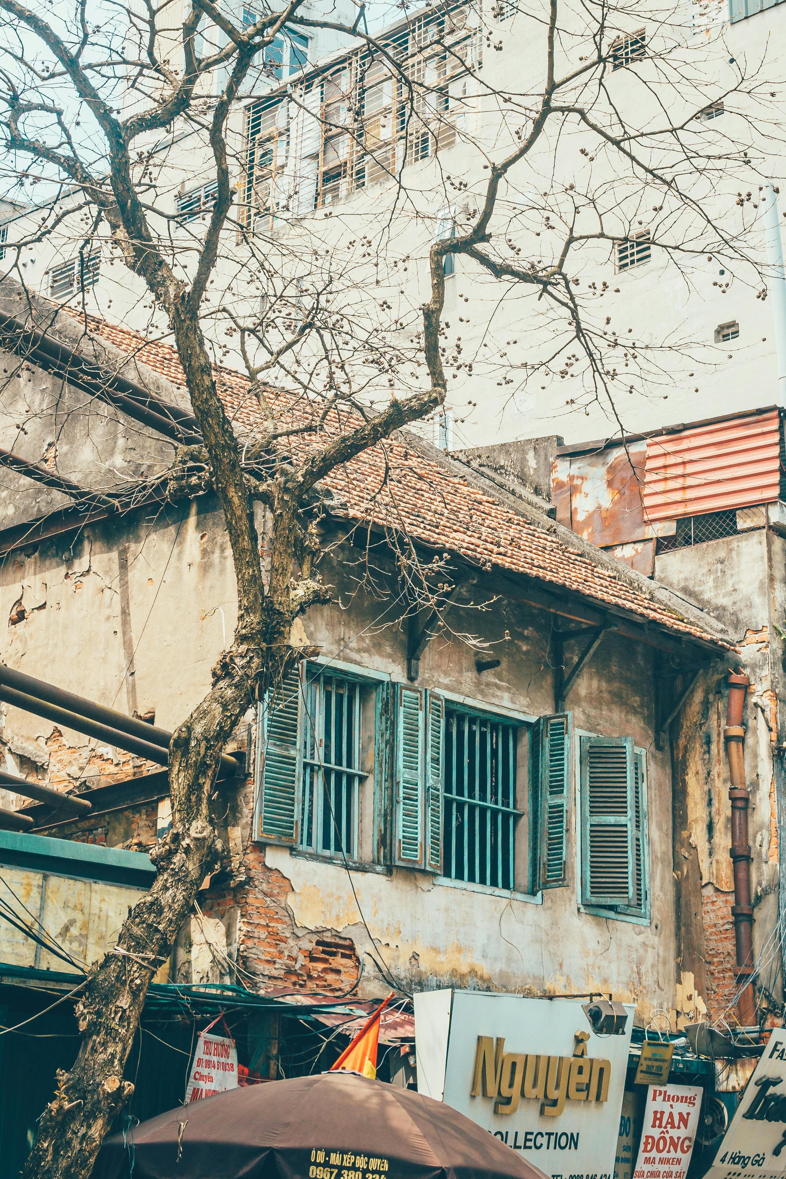 Nguyên lý phong thủy