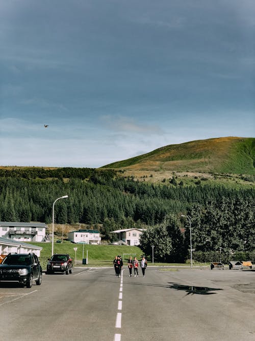 People Walking on the Street