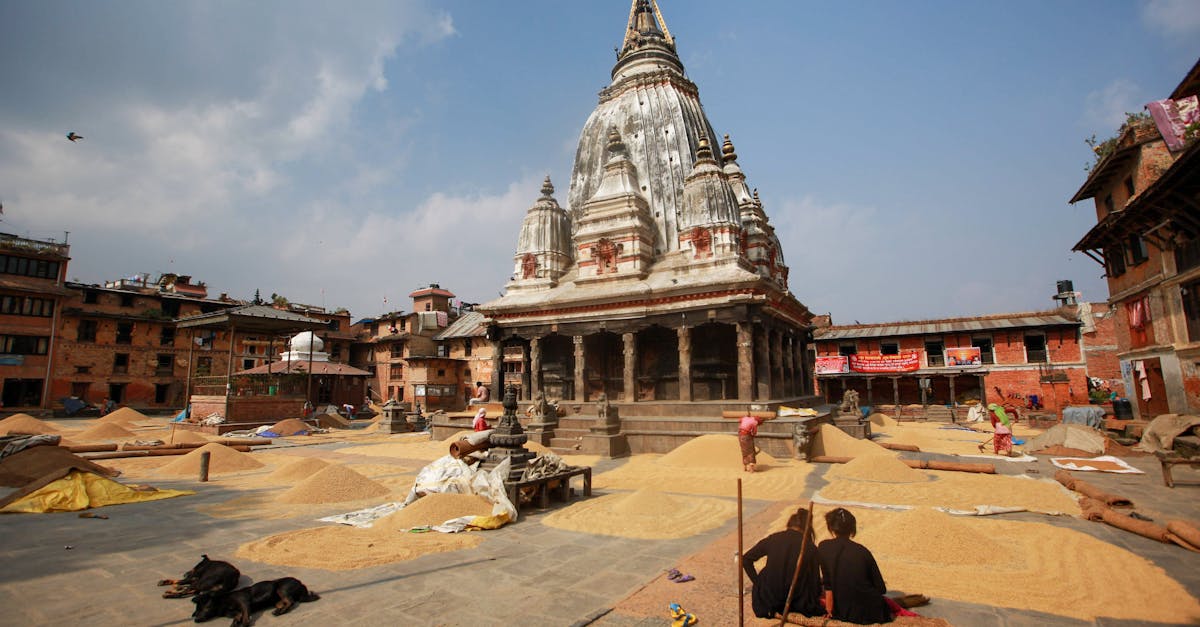 政治:賴清德初二拜廟 黃偉哲預測台南農產將受益