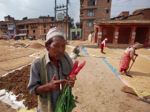Free A native farmer stands outdoors holding fresh radishes with people working in the background. Stock Photo