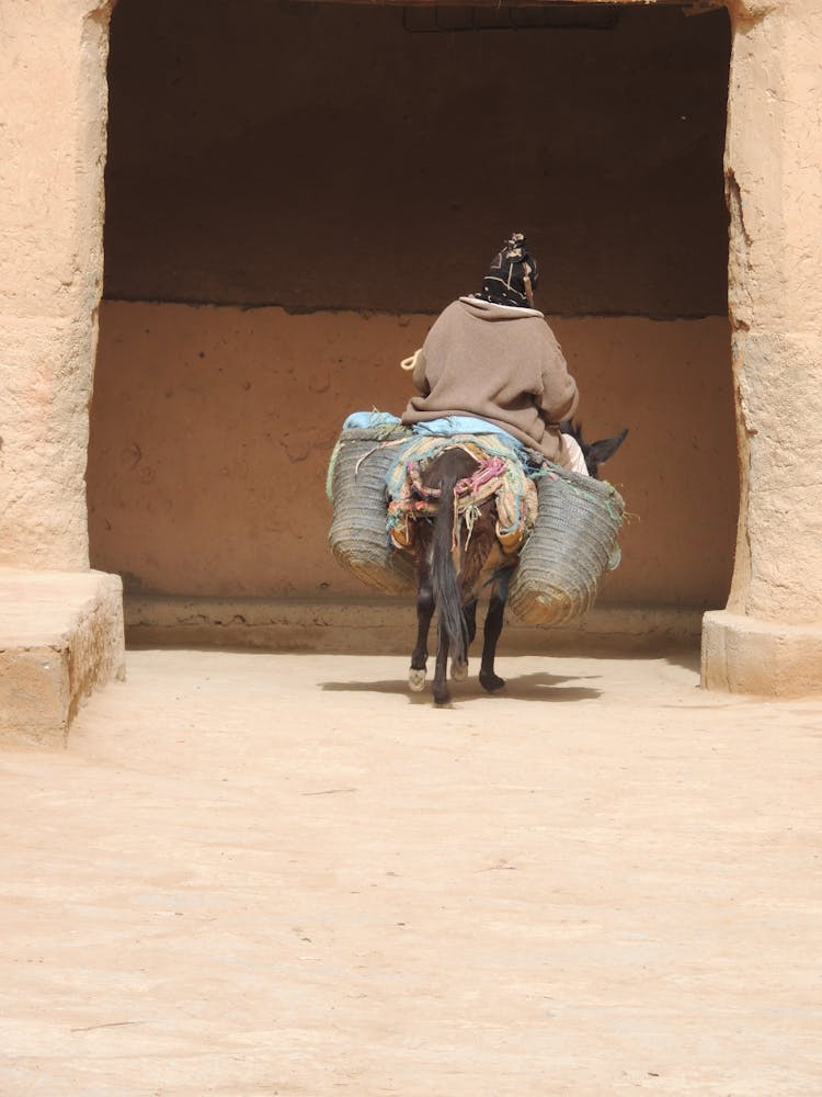 A Person Riding A Donkey