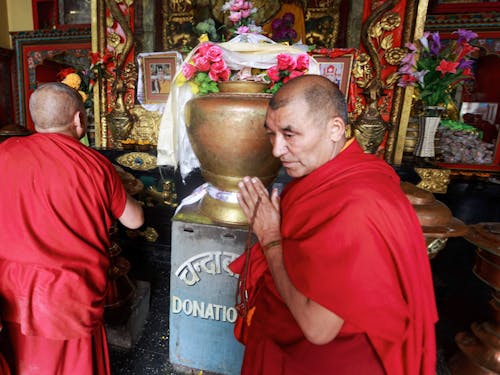 Ingyenes stockfotó Buddha, buddhizmus, fesztivál témában