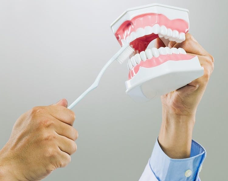 Person Brushing Dentures