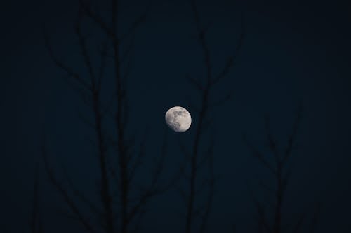 Gratis arkivbilde med måne, nattehimmel, silhuett