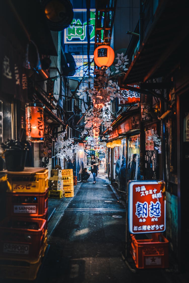 Illuminated Alley Of Shinjuku At Night