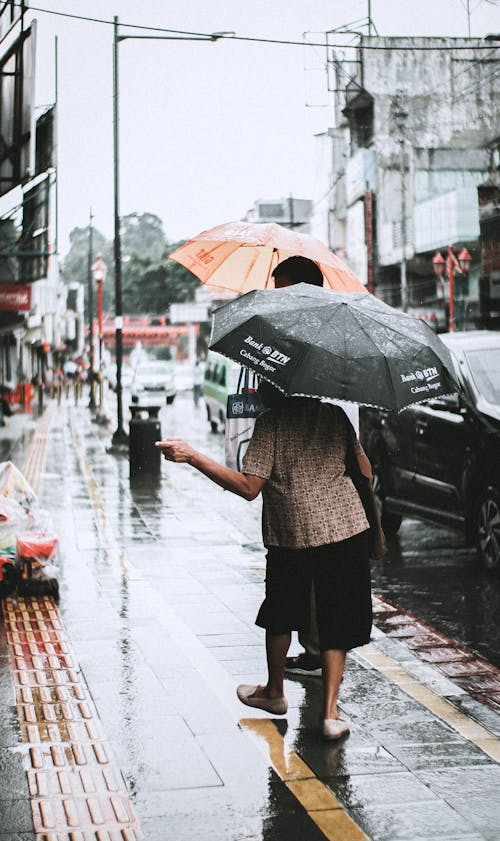 Immagine gratuita di acqua, bagnato, camminando