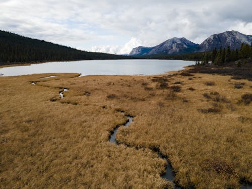 Green Grass Near Lake Under White Clouds and Blue Sky