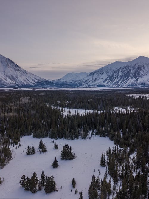 Scenic View of Land and Rocky Mountains under Cloudy Sky