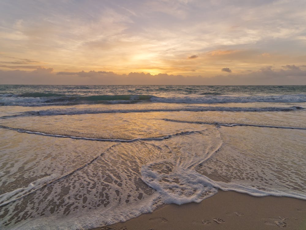 Waves on Shore