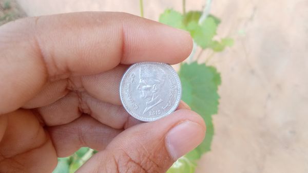 African agriculture