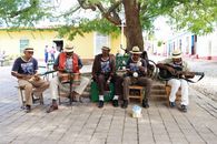 Group of musicians playing various instruments under a tree on a vibrant street.