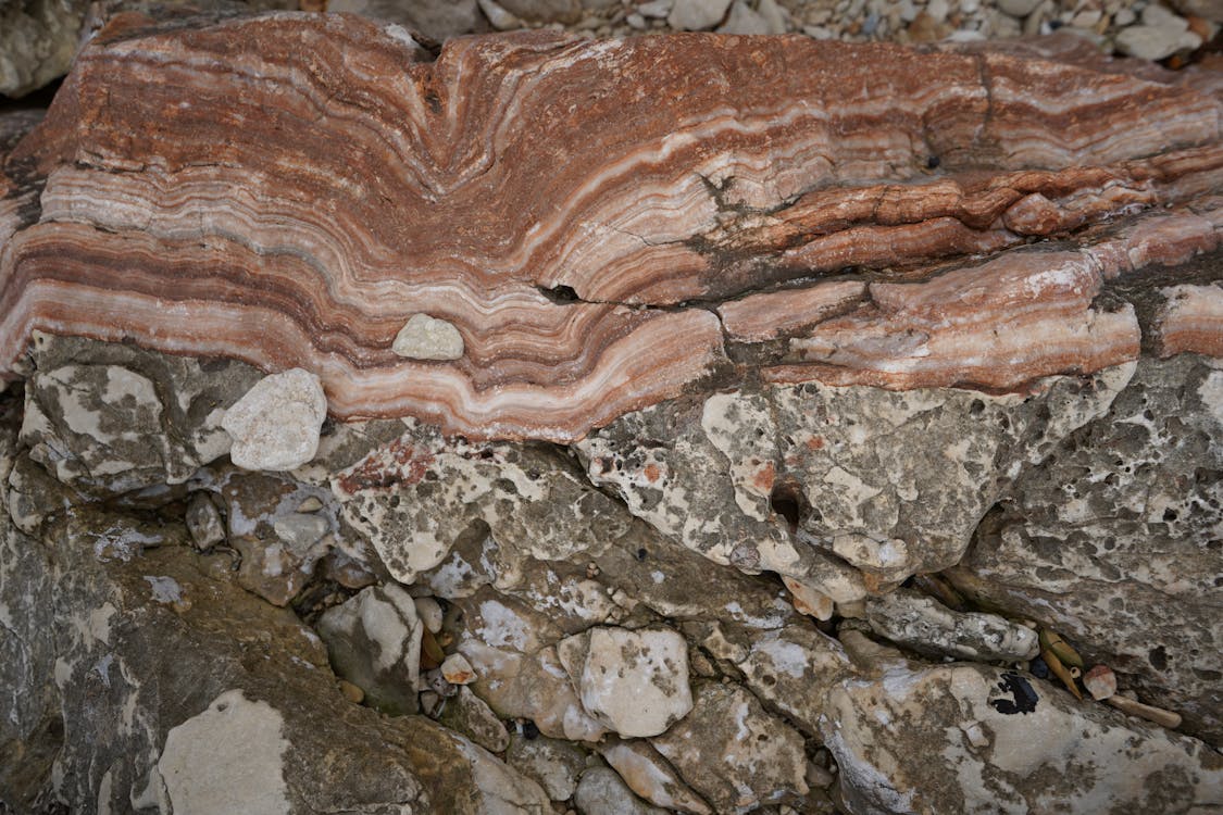 Close-up Shot of a Rocky Surface