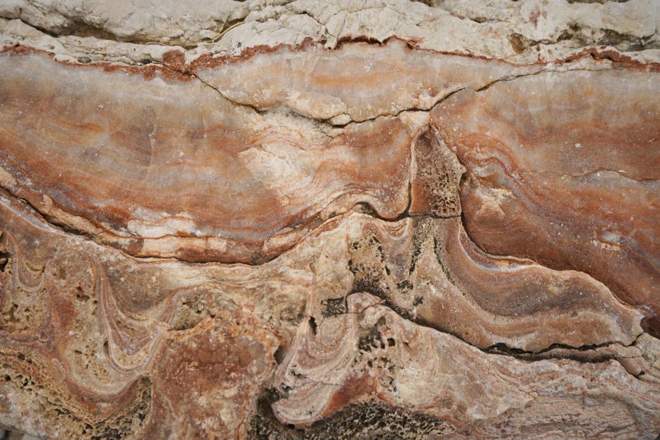 Ancient Ocean Anoxic Events Offer Dire Warnings for Future Global Warming