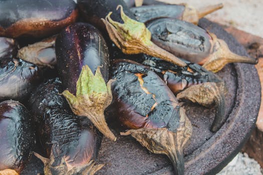 Close-up of charred eggplants being grilled, showcasing rustic outdoor cooking.