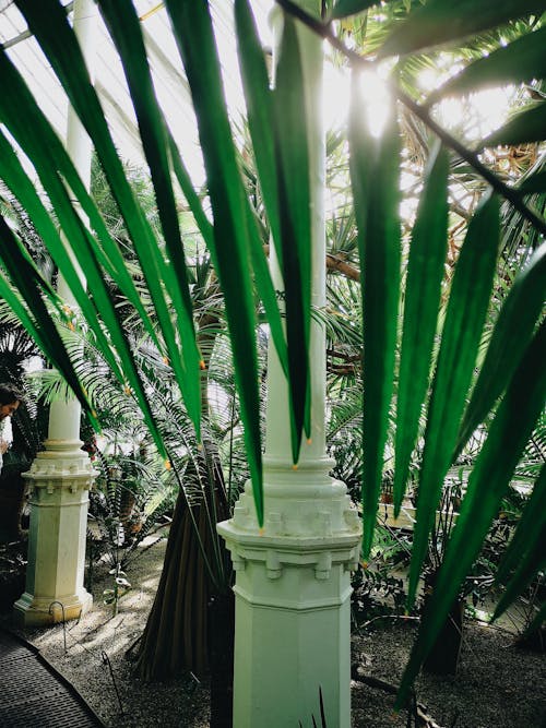 Plants in a Botanical Garden