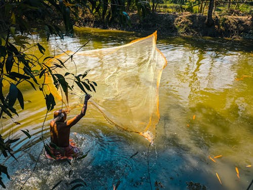 Foto profissional grátis de água, árvores, homem