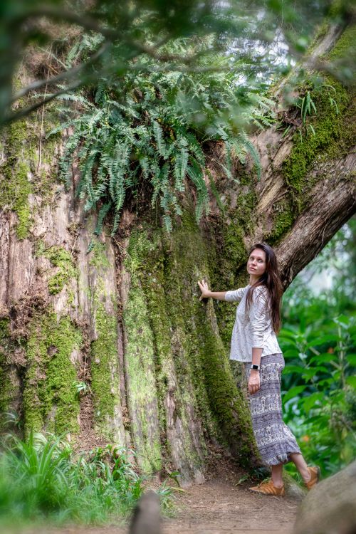 Free A woman stands beside a large moss-covered tree in a lush outdoor setting, showcasing nature's beauty. Stock Photo