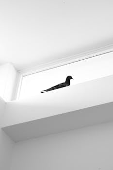 A lone pigeon sits elegantly perched on an indoor ledge against a bright white background, emphasizing minimalism.