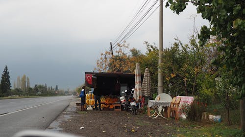 Foto profissional grátis de árvore, baga, bandeira