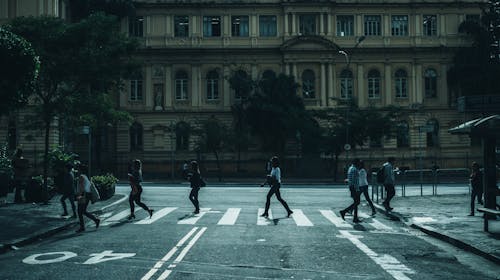 Persone Che Camminano Sulla Corsia Pedonale