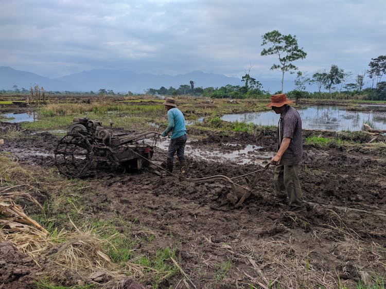 Men Ploughing The Field