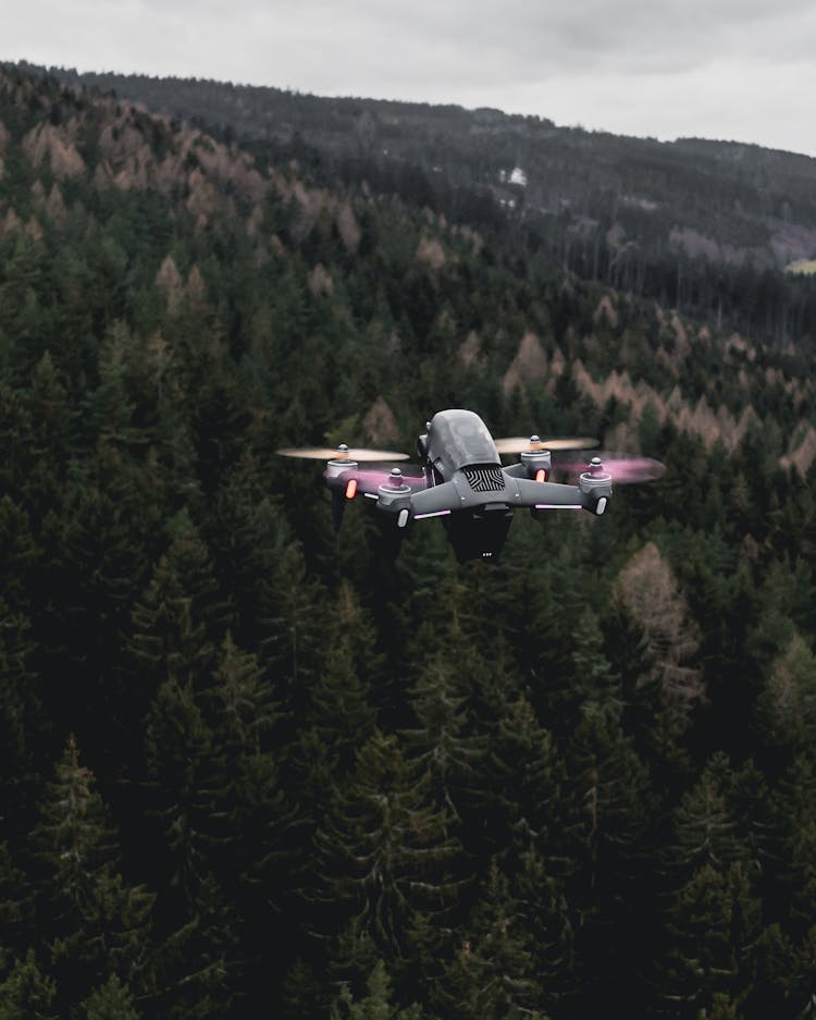 Drone Flying Over A Forest 