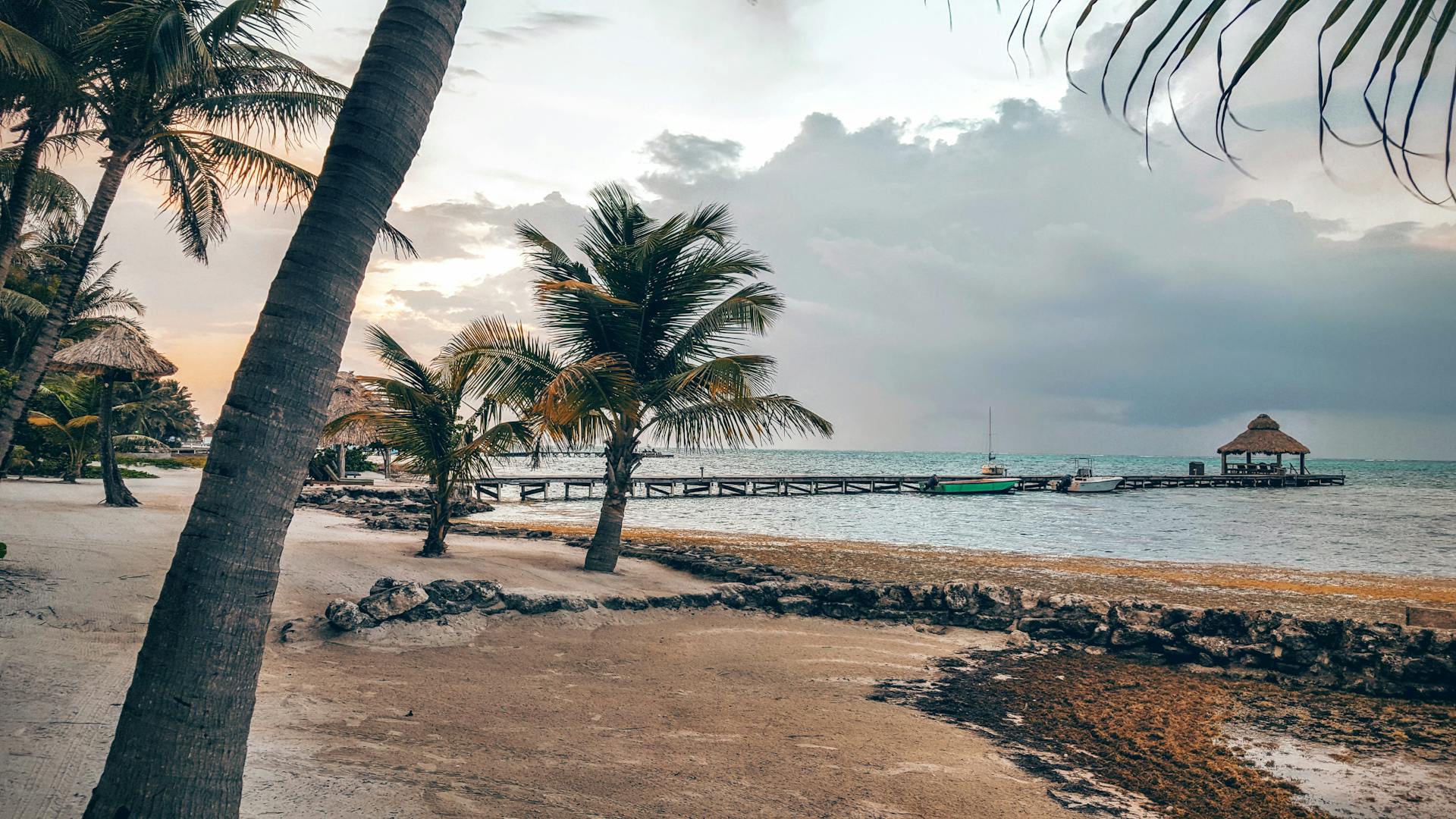 Scenic tropical beach with palm trees and a wooden pier in San Pedro, Belize at sunset.