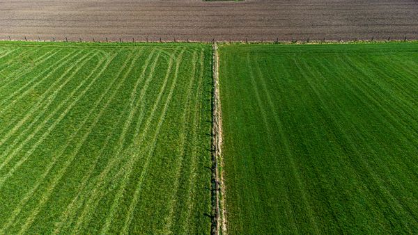 Aerial view of two green fields by zjanin on Pexels