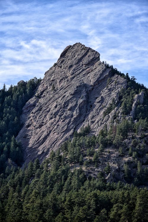 A Steep Rocky Mountain Covered with Green Trees