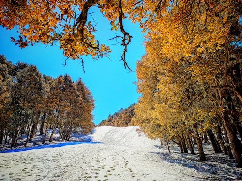 Imagine de stoc gratuită din auli, drumeție montană, schi