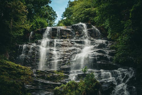 Free Waterfalls in the Middle of Green Trees Stock Photo
