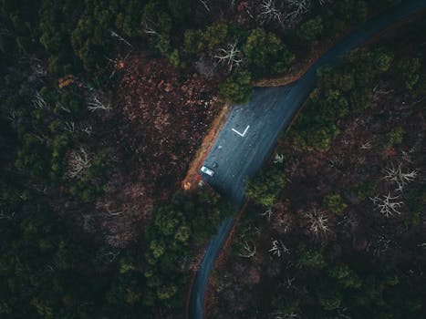 Drone shot capturing a car at a forest road intersection surrounded by trees in a top-down view.