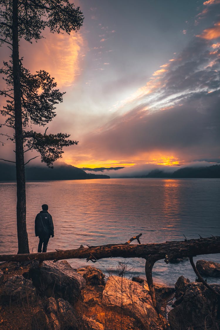 Person Looking At Lake At Sunset