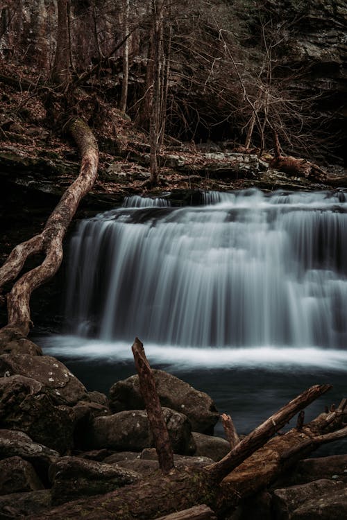 Foto profissional grátis de árvores, cachoeiras, corredeiras