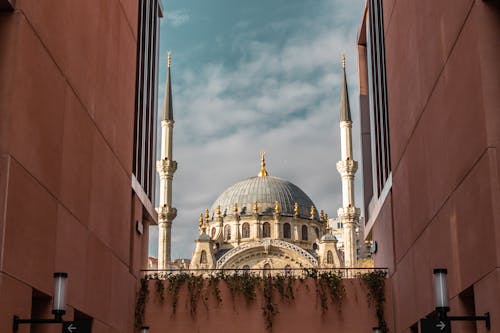 Mosque behind Buildings