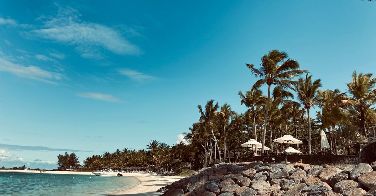 Serene sandy beach in Moka District, Mauritius, with clear blue skies and lush palm trees.